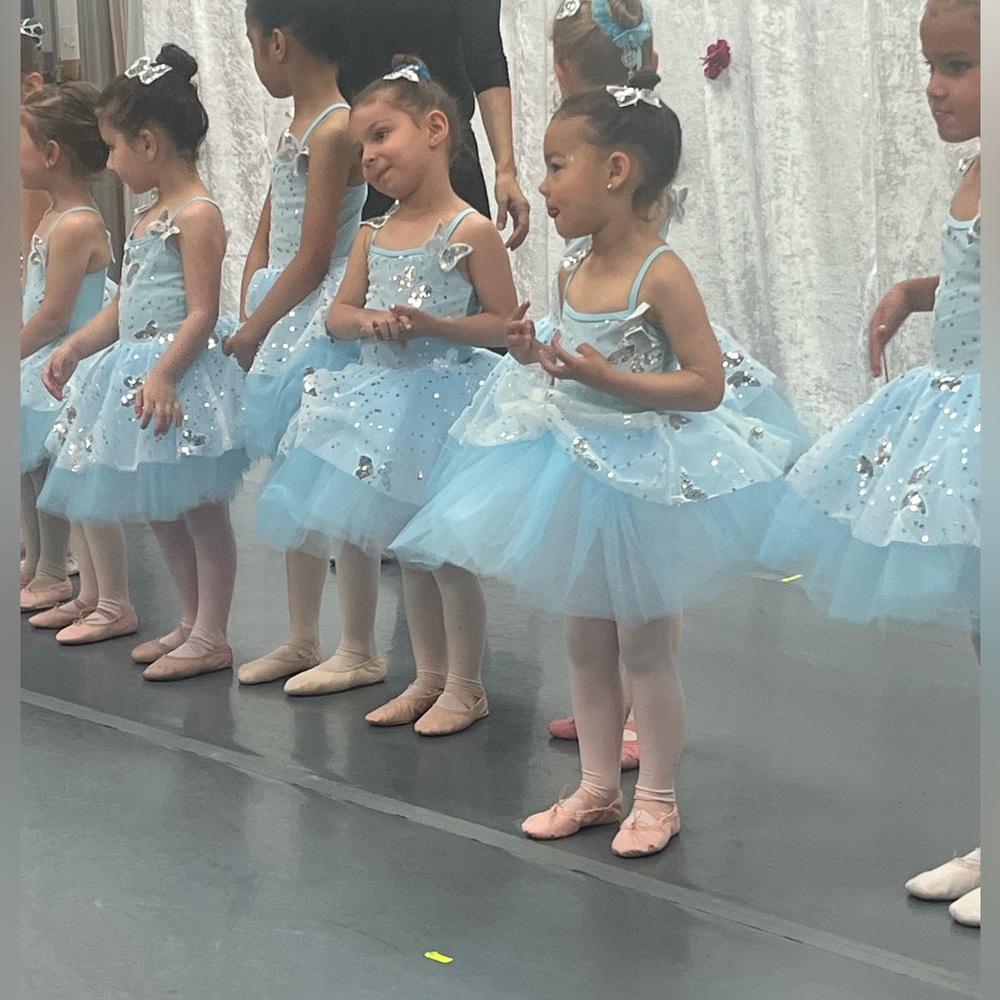 Beautiful butterfly tutu/costume. Worn for one show. Perfect condition! - Picture 4 of 4